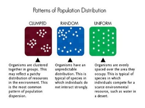 diagram the different population distributions in the boxes below|population distribution diagram.